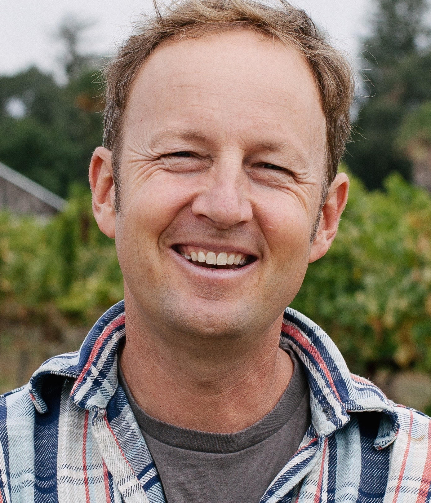 Episode 15, Steve Matthiasson, Matthiasson Wines – The Honest Pour with ...