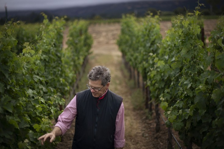 Paul-Hobbs-Winery-Paul-Walking-the-Napa-Vineyards-Gallery-Image-1477